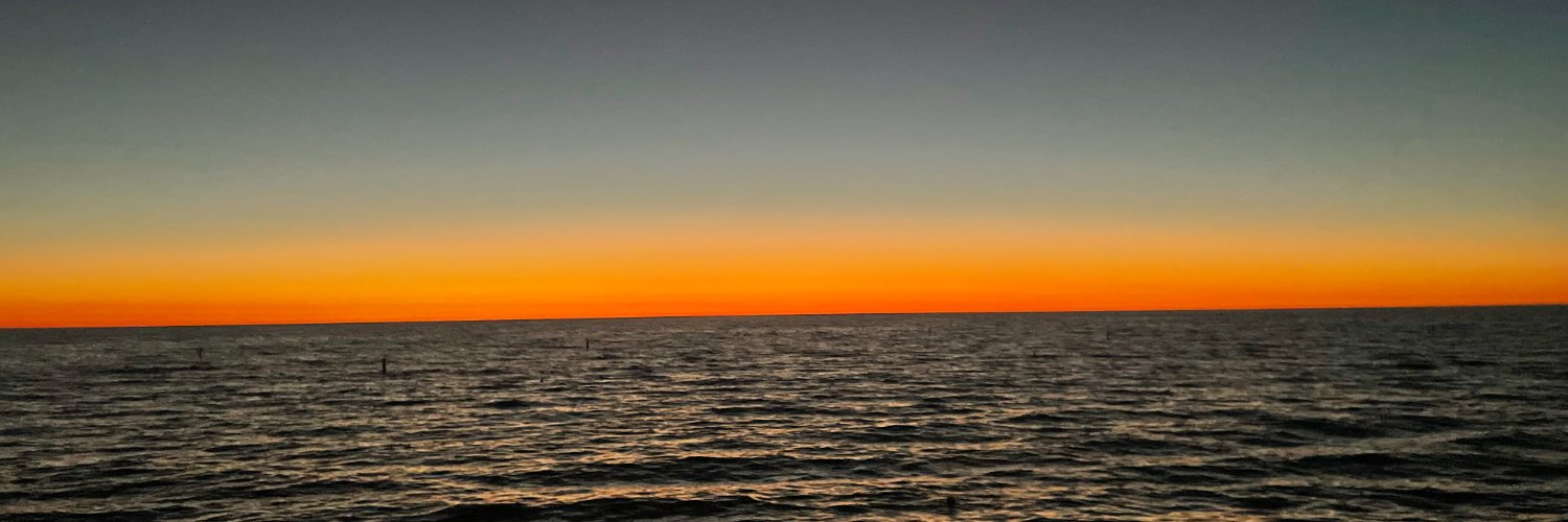 Zyncronized's profile banner image