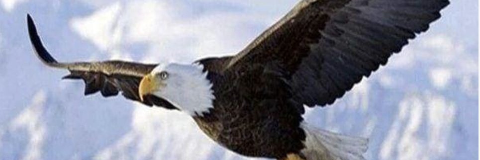 Uncle Sam banner