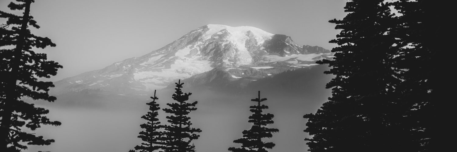 jaimelee016's profile banner image