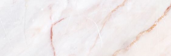 Ellen Blane banner