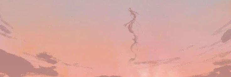 Nie banner