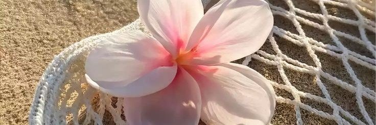 Alifia Rafasya banner