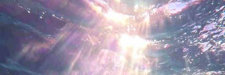𝑳𝒆𝒗𝒊 banner