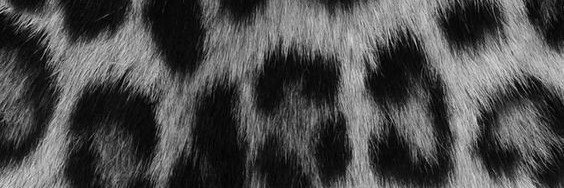 user_slbs's profile banner image