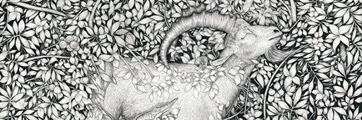 Amy Dover banner