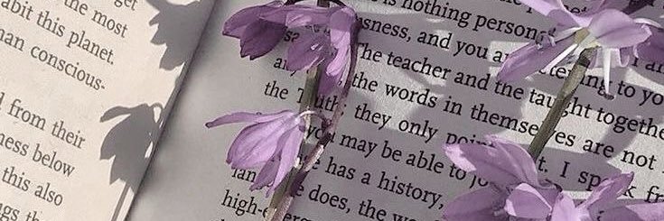 Anabella Rosewood banner