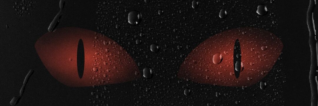 Raj banner