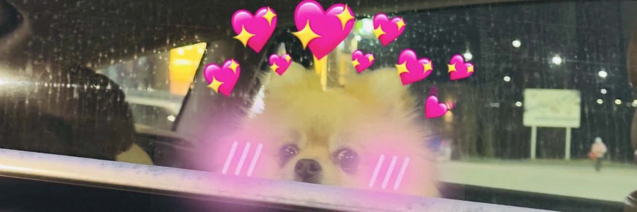 RaseVIX's profile banner image