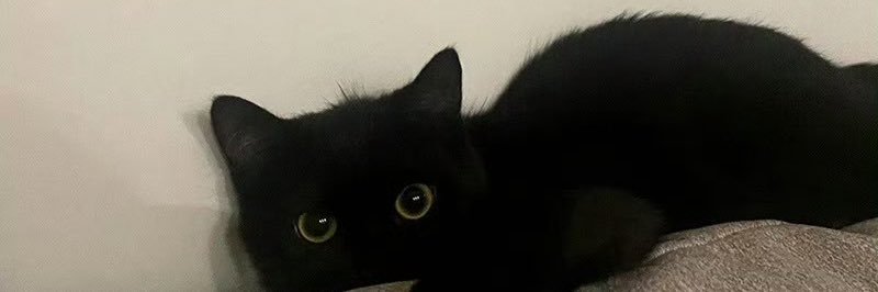 demonlover banner