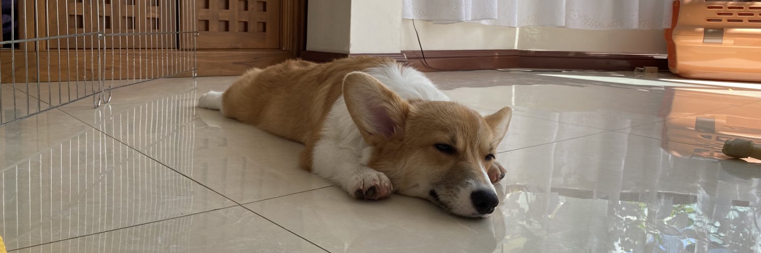 SuperDogMiN's profile banner image