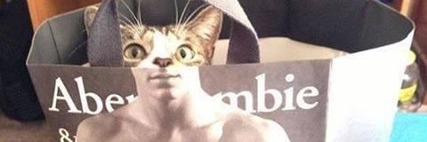 MorgenThe_Great's profile banner image