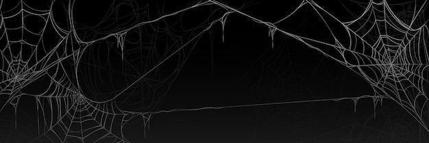 Will banner