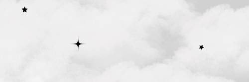 𝘙𝘪𝘯𝘢 banner