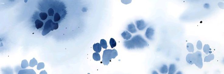 Conan • backup/freetag banner