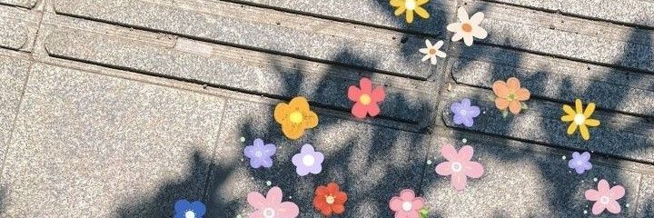 Lily🌸 banner