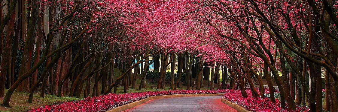 FiRe through PSX 💸 banner