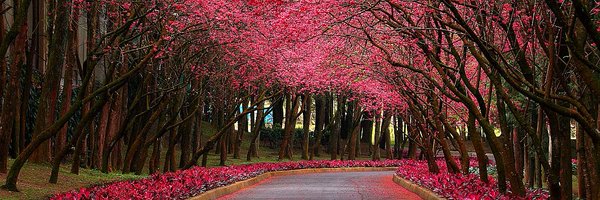 FireThroughPSX Profile Banner