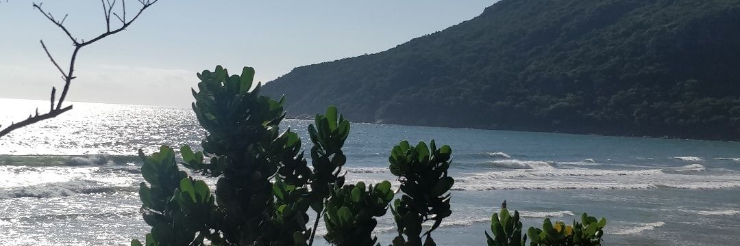 thiagomvo's profile banner image