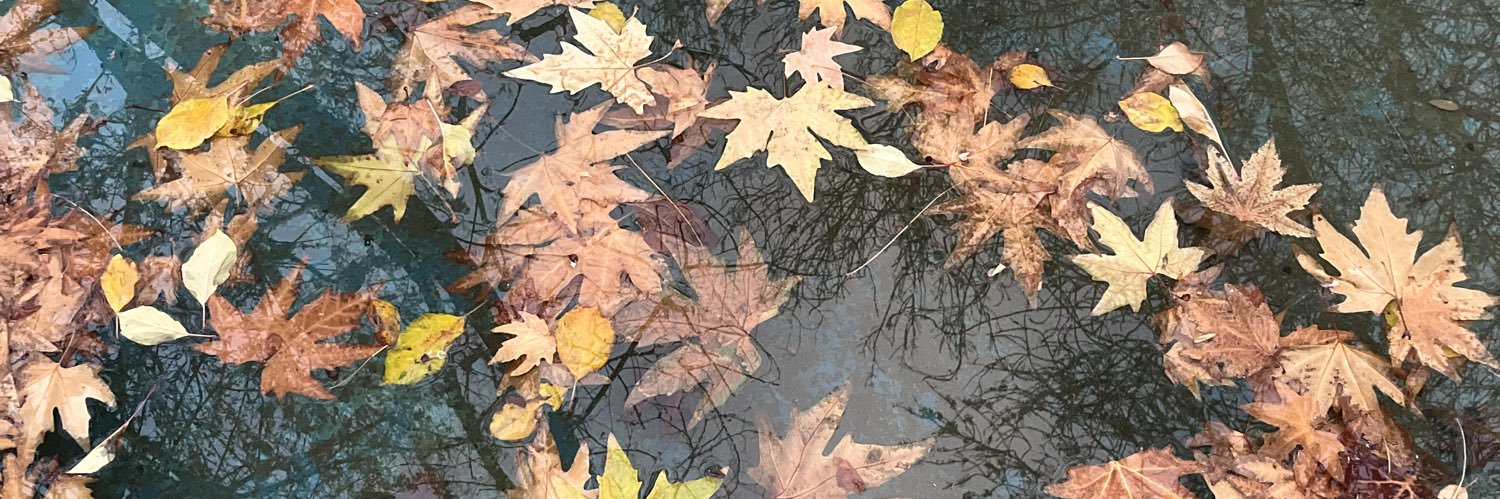 Nothingrtmf's profile banner image