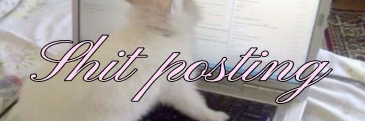 startsthetape's profile banner image