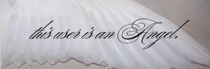 angelnetic's profile banner image