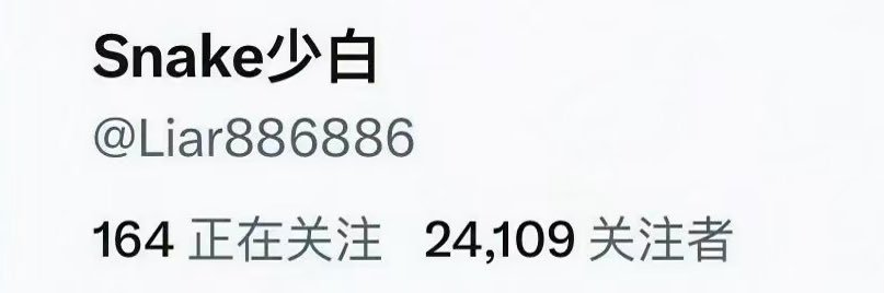 Snake少白 0.1 banner