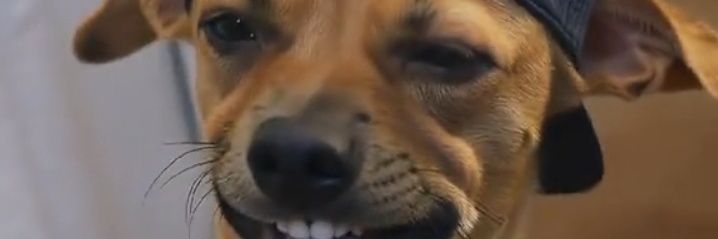 Kendrick Stunt banner