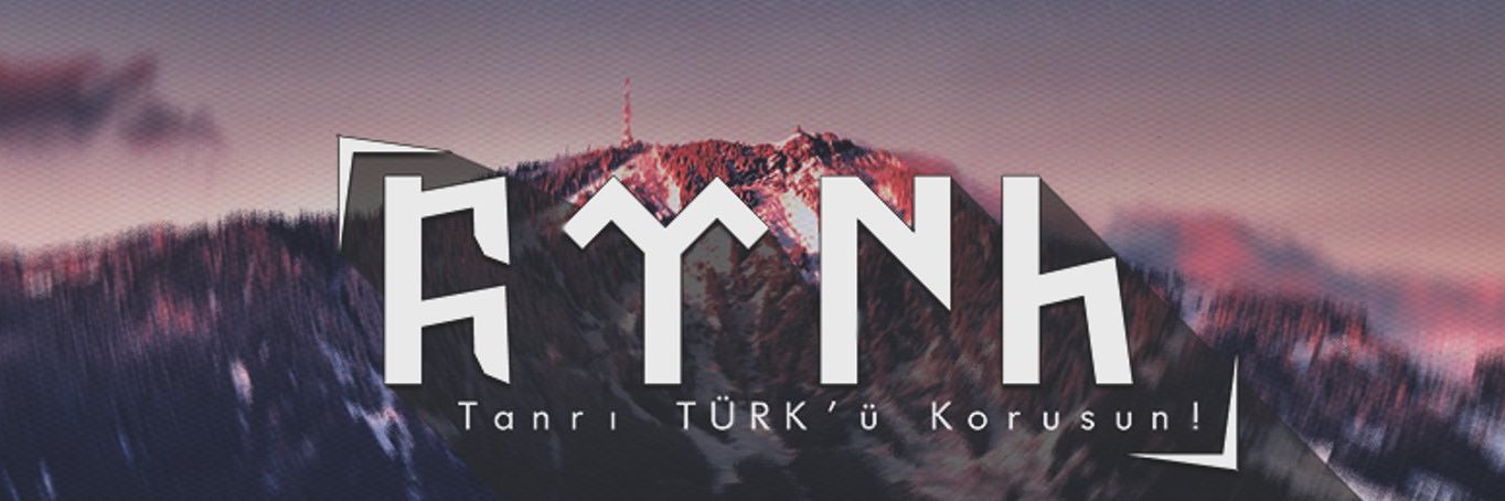 Ozer banner
