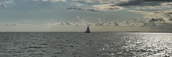 debt Profile Banner