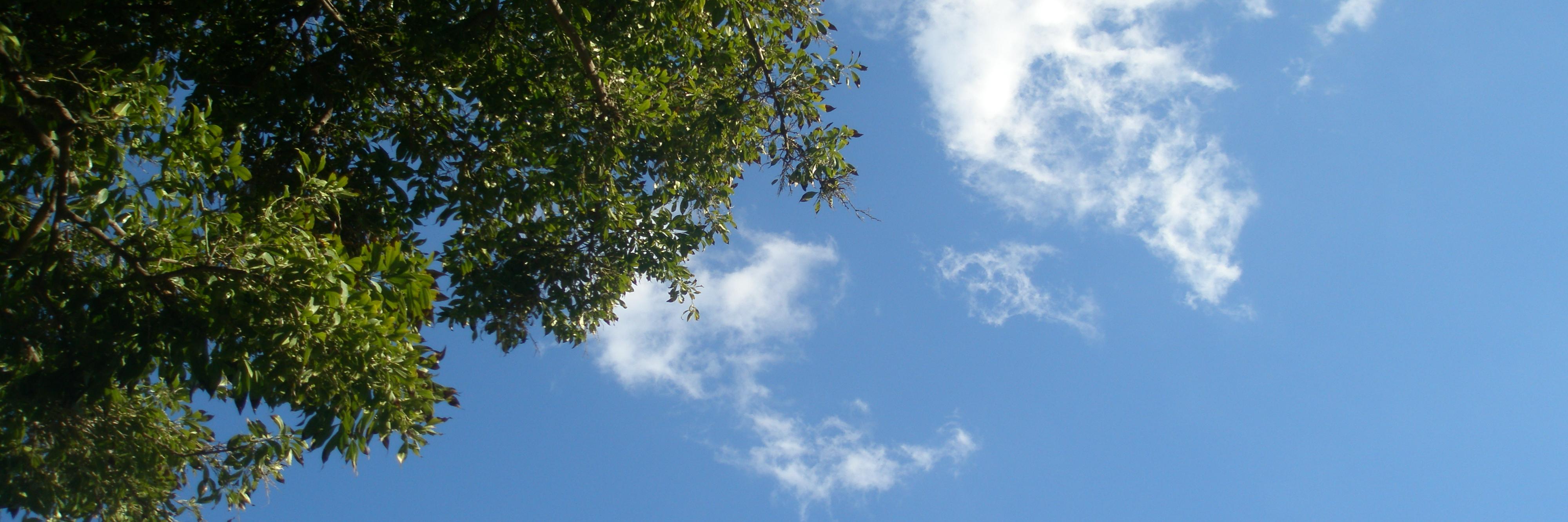 tixitoxi's profile banner image