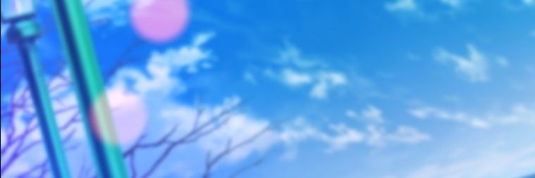 loo banner