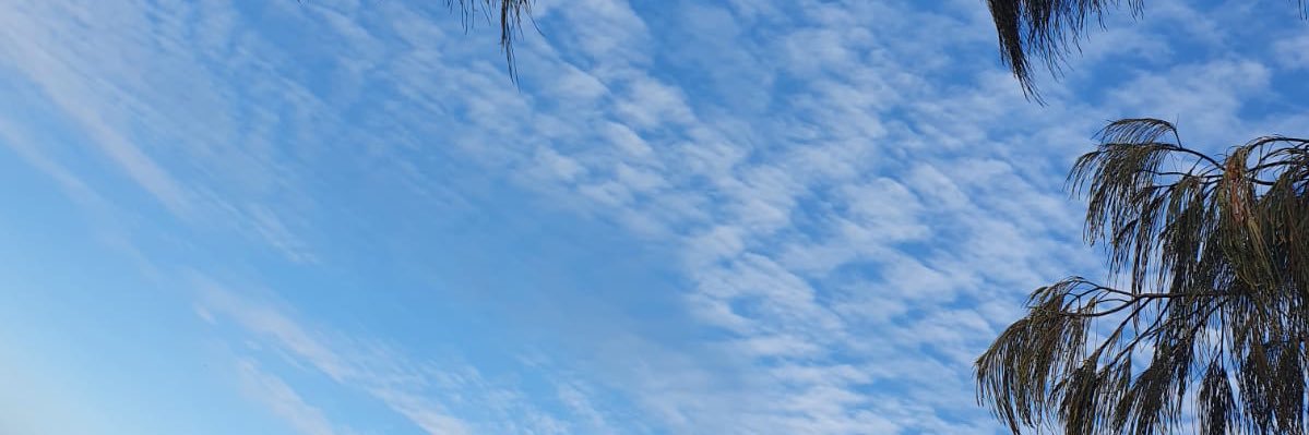mytjoy's profile banner image