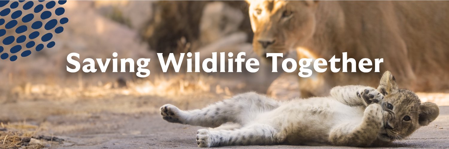 DenverZoo's profile banner image