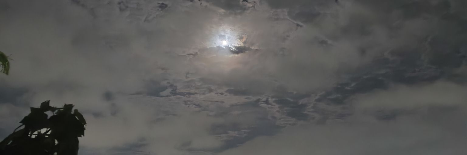 shaw_xss's profile banner image