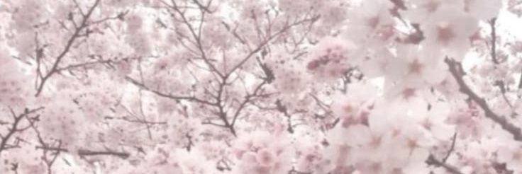 🌸𝓒𝓱𝓮𝓻𝓻𝓲 𝓖𝓸𝓭𝓭𝓮𝓼𝓼 🌸 banner