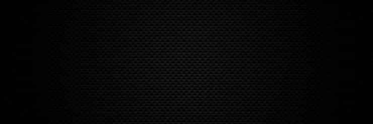 Rodion banner