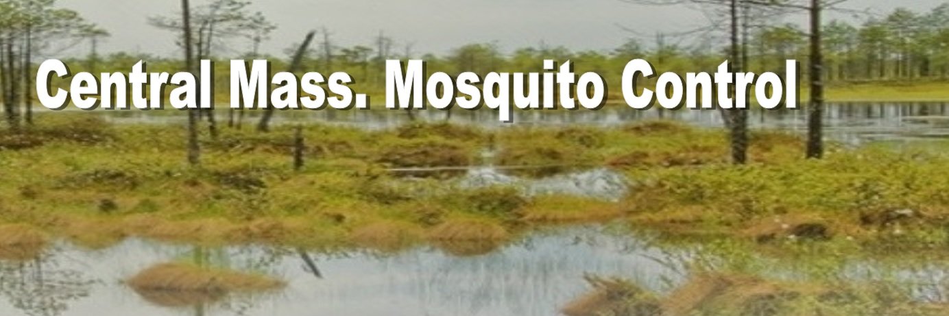 CMassMosquito's profile banner image