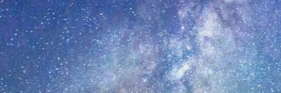 Suzanne Gorthwald banner