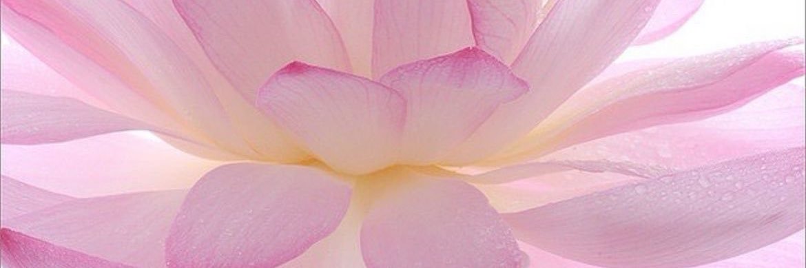 rasbereyyyy banner