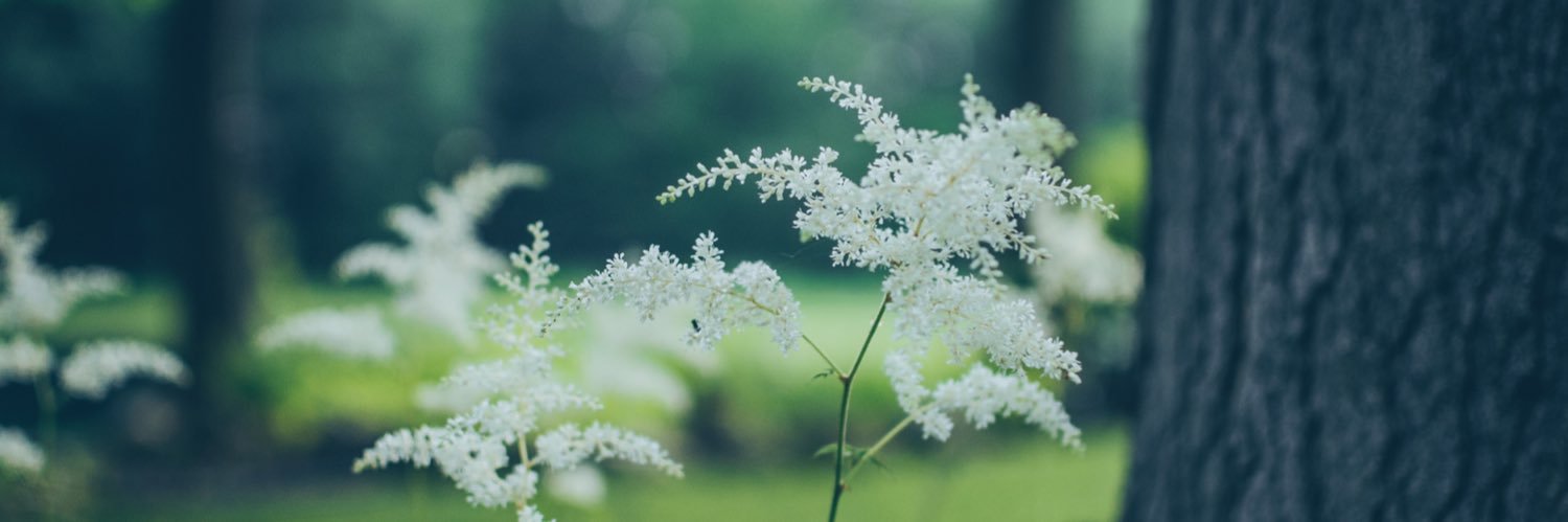 MrsBBoooyd's profile banner image