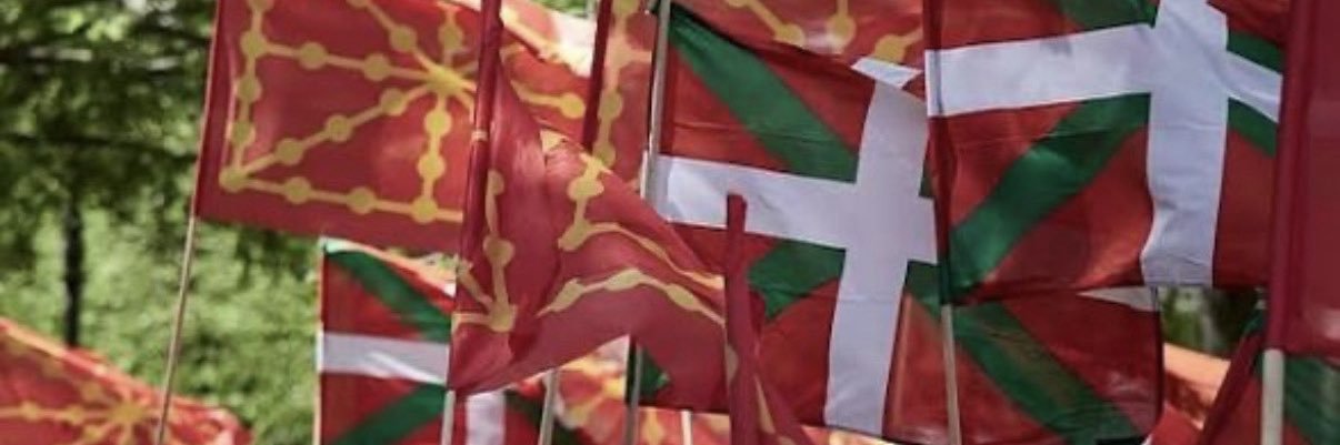 1982 🧨🔥✊🏻🇵🇸 banner