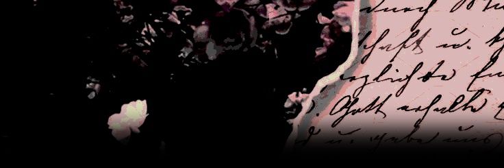 ‎ ‎۫ ׅ ‎ ‎ ‎𝒦ɨlle̶r̶ ‎ ‎ ‎ ‎Qᵘᵉᵉⁿ ‎ ‎ ‎.ᐟ banner