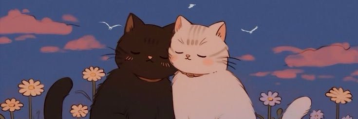 𝕔𝕒𝕞𝕞𝕪 banner