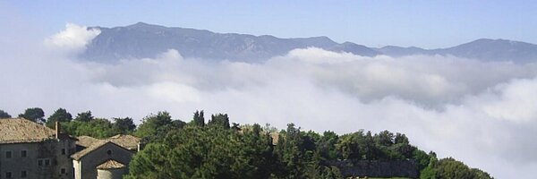 janet29 Profile Banner