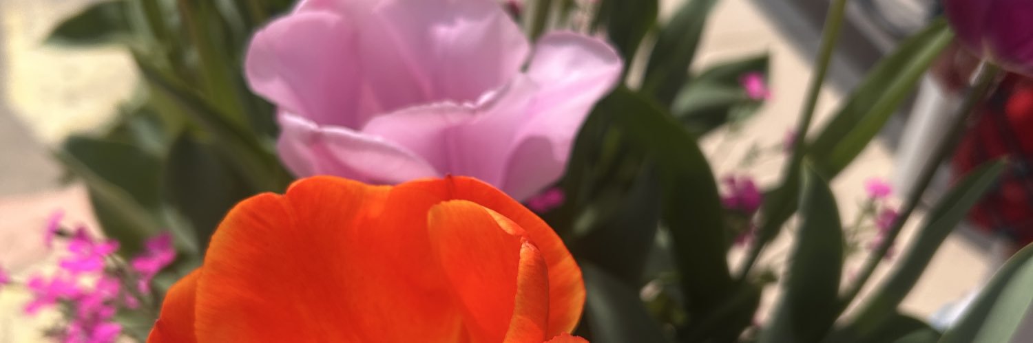 あいッ🩵 banner