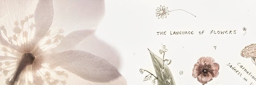 incognita banner