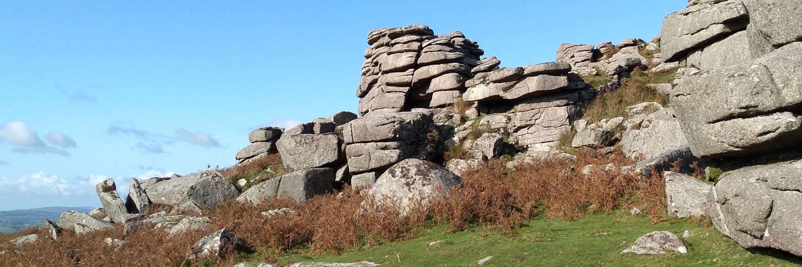 Suzanne Lawrence 🧙‍♀️She/Her banner