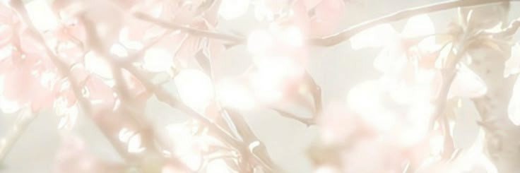 ren banner