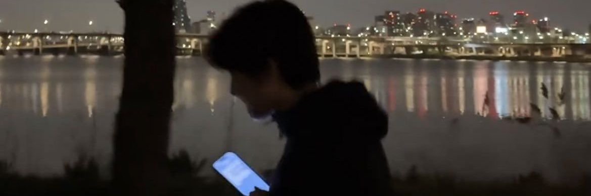 Seafull banner