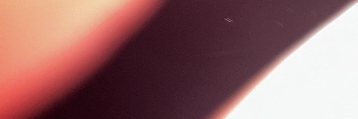 Sam banner